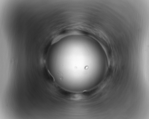 X0000099960324200805231346