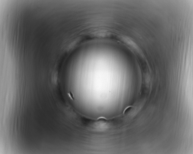 X0000099960326200805231346