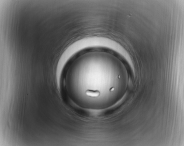 X0000099960328200805231346