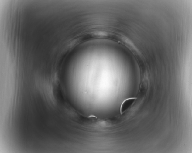 X0000099960330200805231346