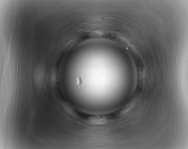 X0000099960331200805231346
