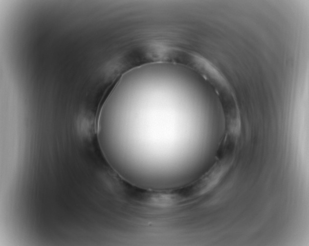 X0000099960332200805231346