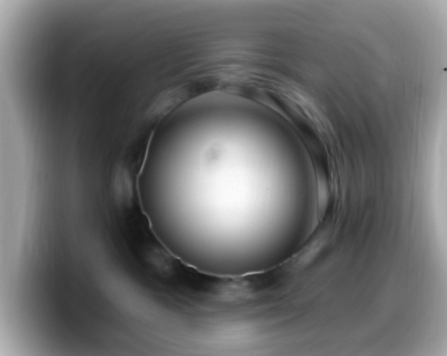 X0000099960333200805231346