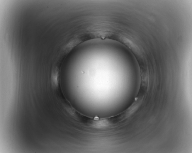 X0000099960334200805231346