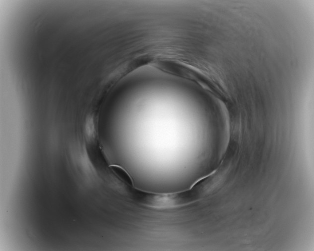 X0000099960335200805231346
