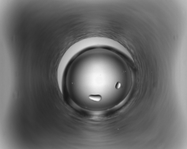 X0000099960336200805231346