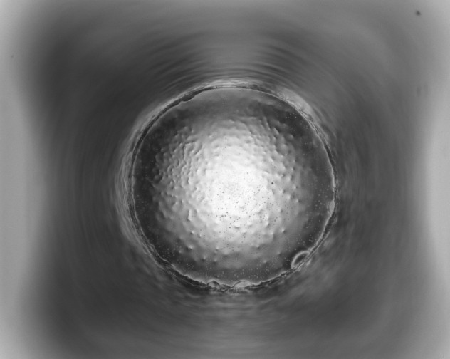 X0000099960337200805231345