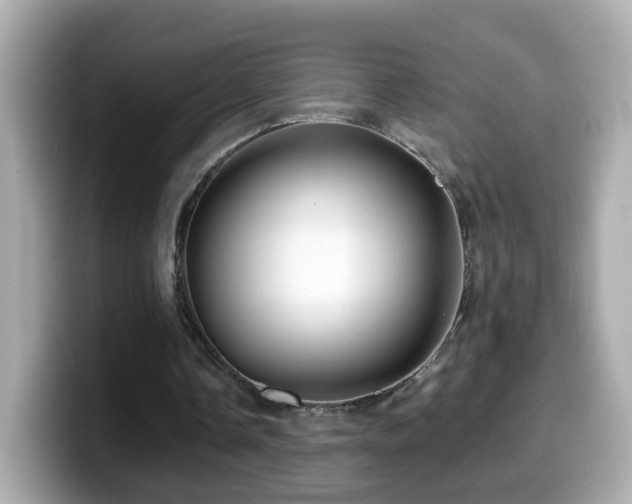 X0000099960338200805231345