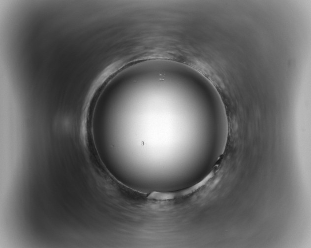 X0000099960340200805231345