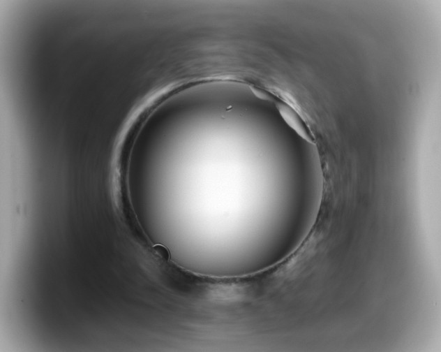 X0000099960342200805231345