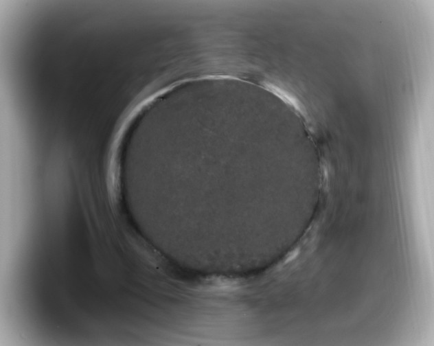 X0000099960343200805231345