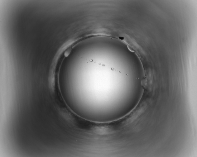 X0000099960344200805231345