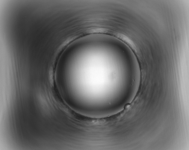 X0000099960345200805231345