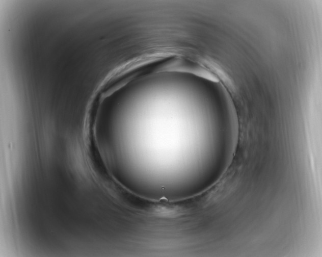 X0000099960346200805231345