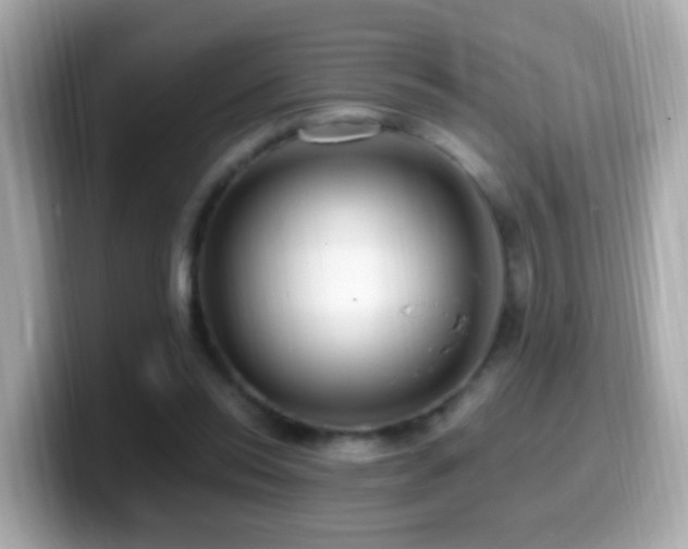 X0000099960350200805231345