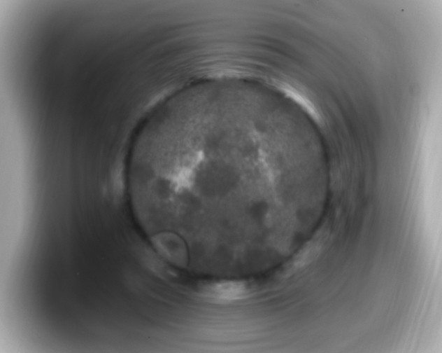 X0000099960353200805231345