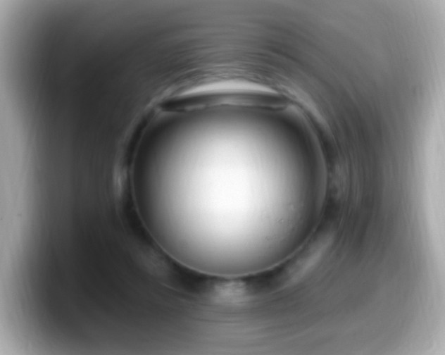 X0000099960355200805231345