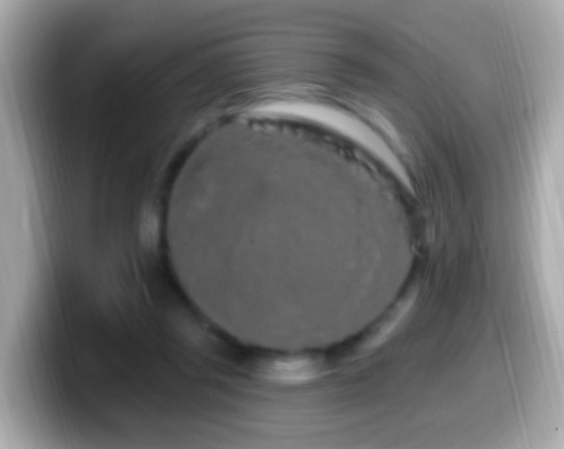 X0000099960357200805231345