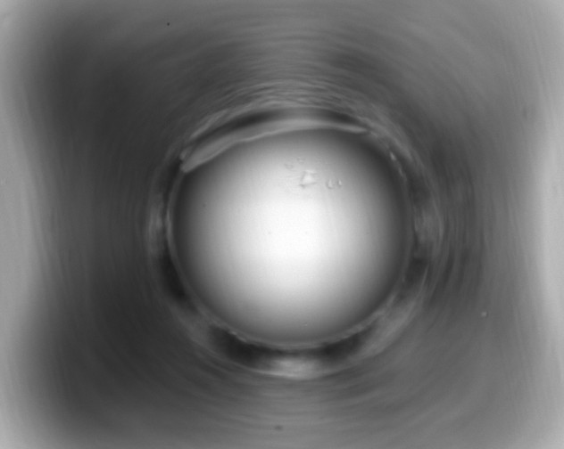 X0000099960360200805231345