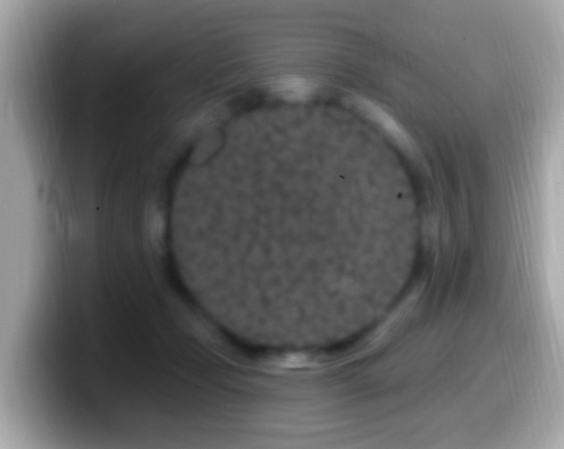 X0000099960365200805231345