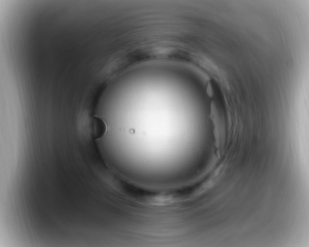 X0000099960366200805231345