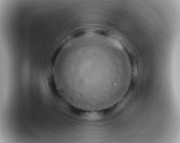 X0000099960367200805231345