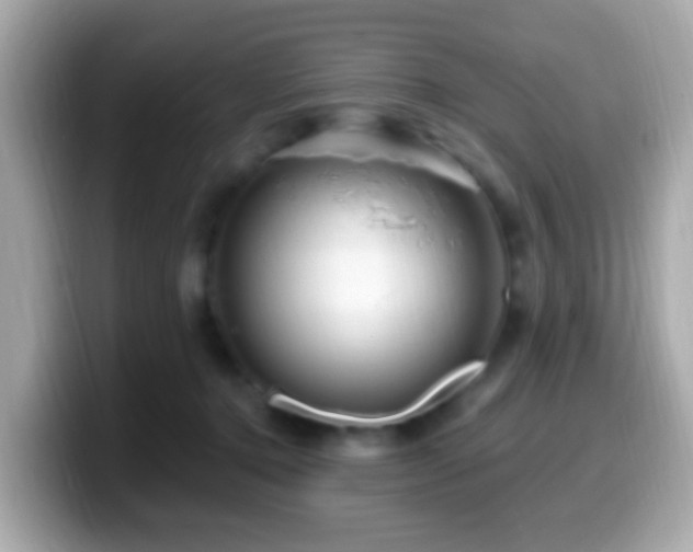 X0000099960368200805231345