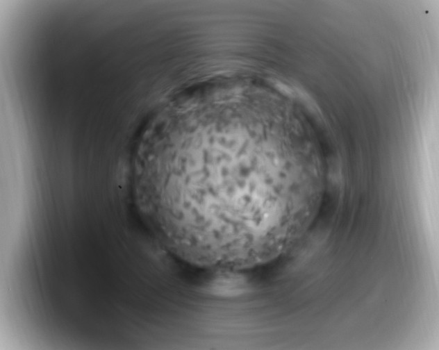 X0000099960369200805231345