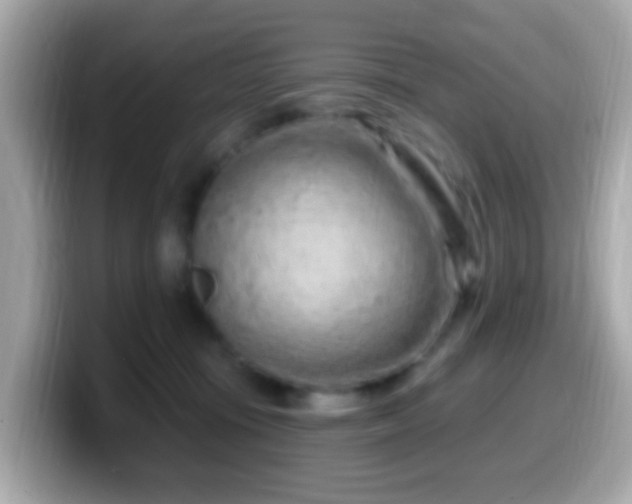 X0000099960371200805231345