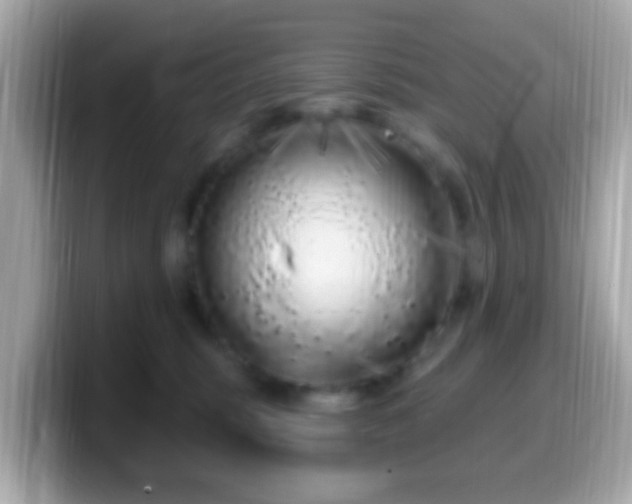 X0000099960375200805231345
