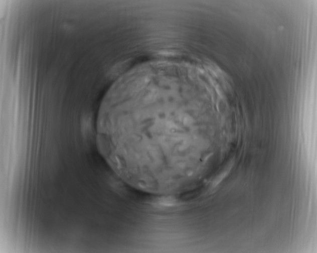 X0000099960377200805231345