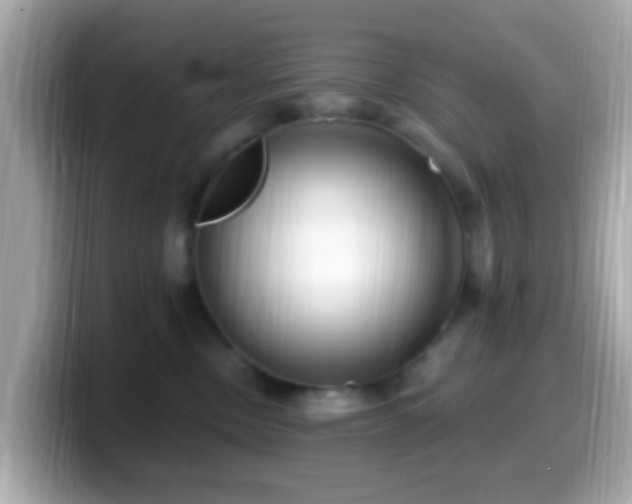 X0000099960378200805231345
