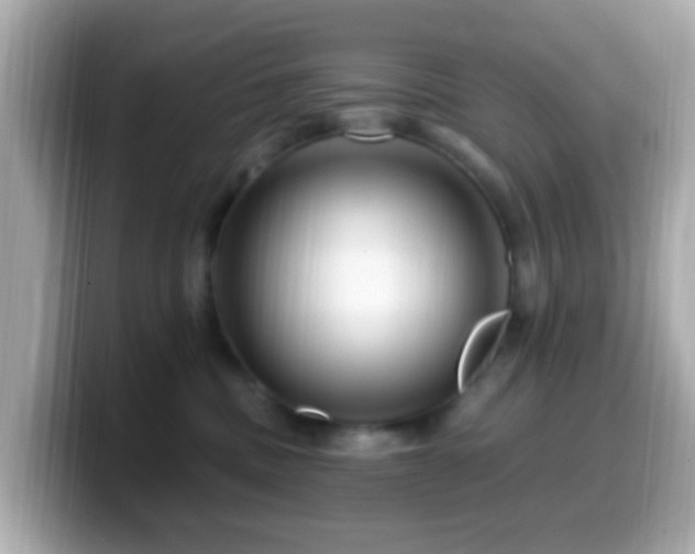 X0000099960379200805231345