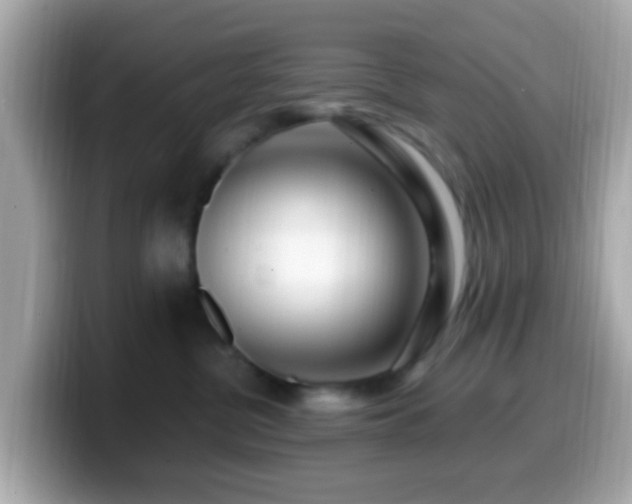 X0000099960380200805231345