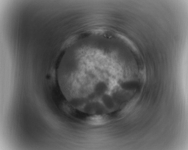 X0000099960381200805231345