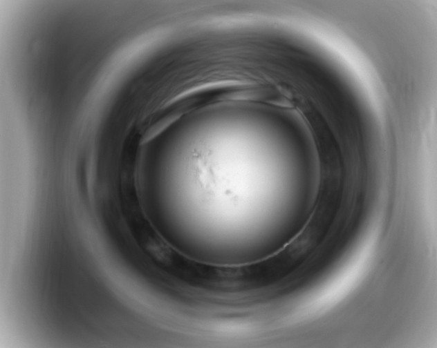 X0000099960382200805231345