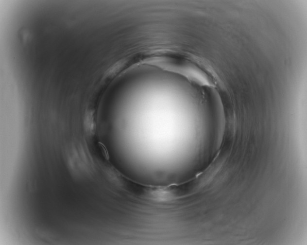 X0000099960383200805231345