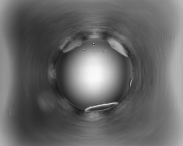 X0000099960384200805231345