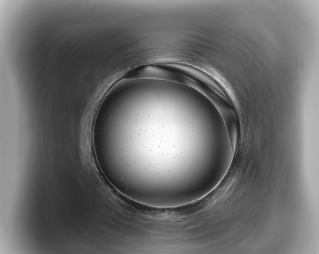 X0000099960385200805231345