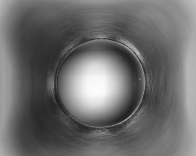 X0000099960386200805231345