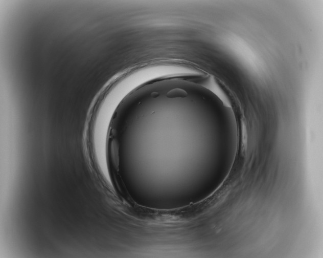 X0000099960387200805231345