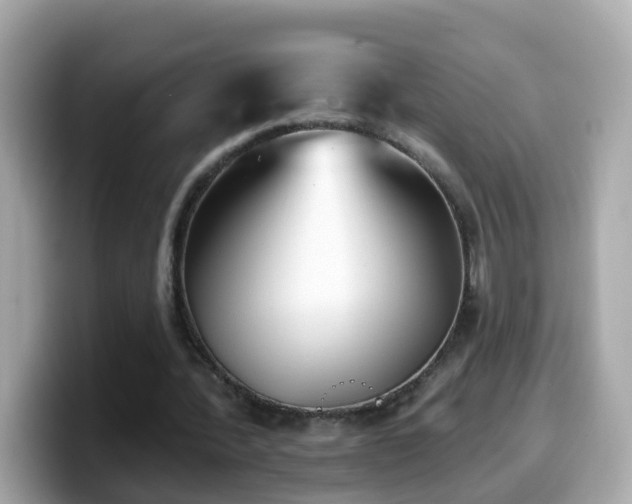 X0000099960388200805231345