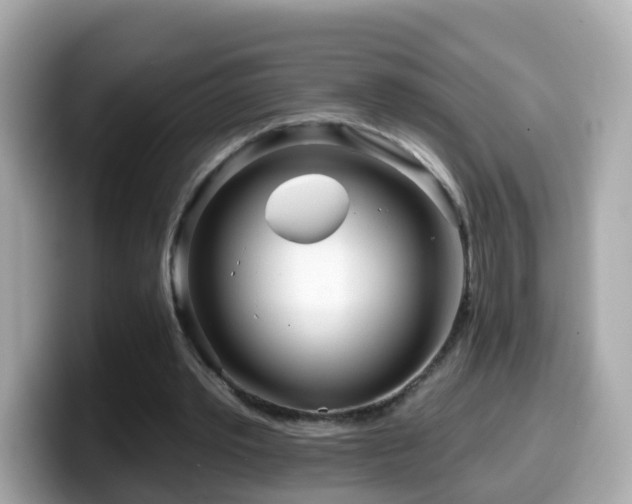 X0000099960389200805231345