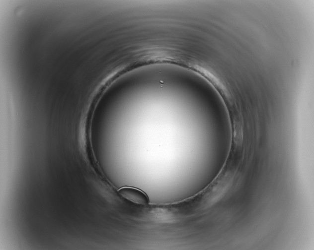 X0000099960390200805231345