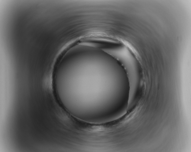 X0000099960391200805231345