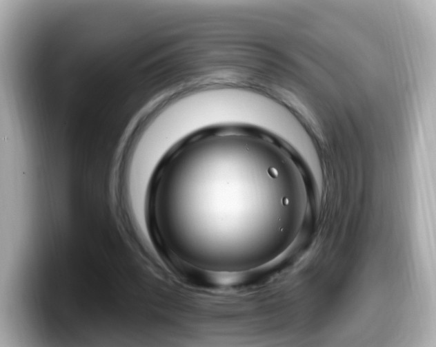 X0000099960392200805231345