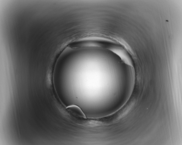 X0000099960393200805231345