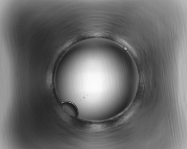 X0000099960394200805231345