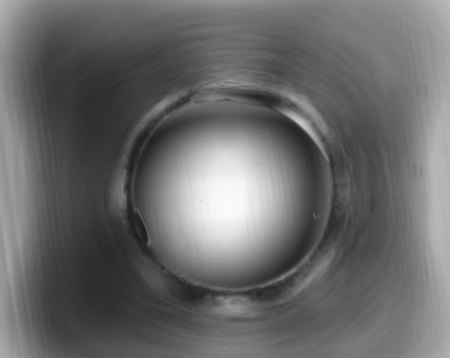 X0000099960395200805231345