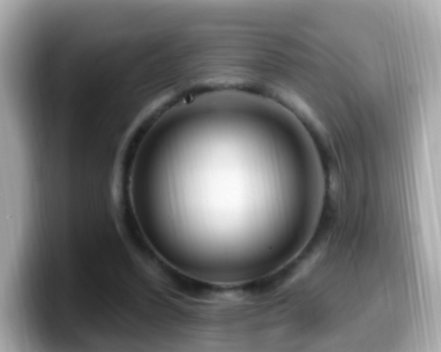 X0000099960396200805231345